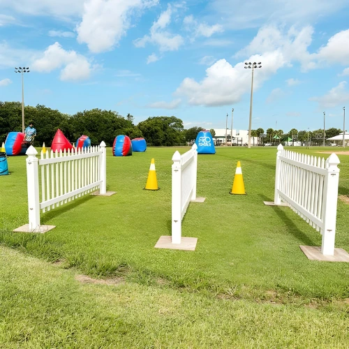 Gellyball Group Package